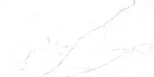 Керамогранит Laparet Discovery Blanco  белый мат. рект. (60х119,5) SG50002420R